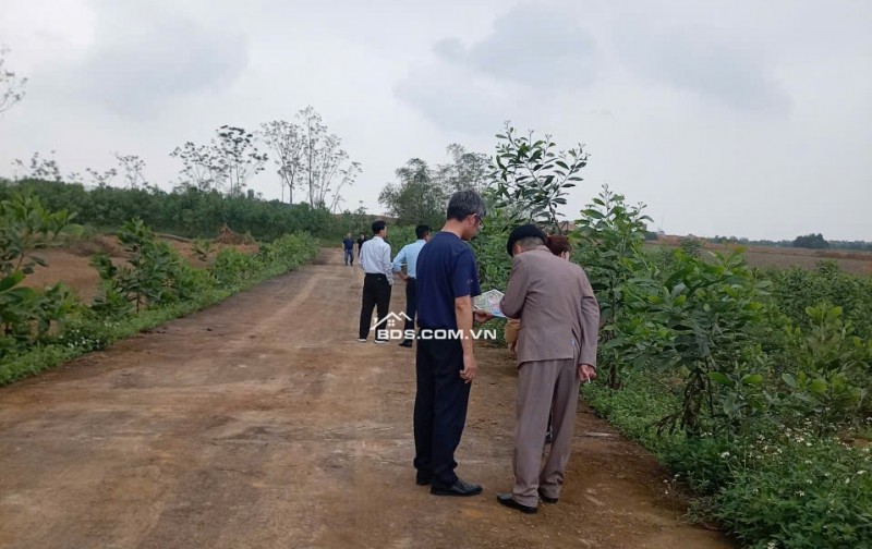 Chính chủ bán đất nền sát khu công nghiệp Lam Sơn Sao Vàng giá chỉ nhỉnh 9tr/m2